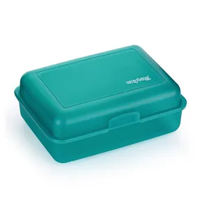 Snackbox mint-matt
